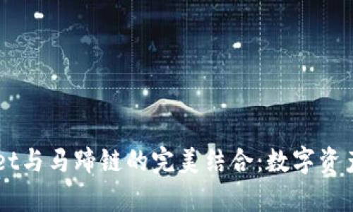 了解tpWallet与马蹄链的完美结合：数字资产管理新选择