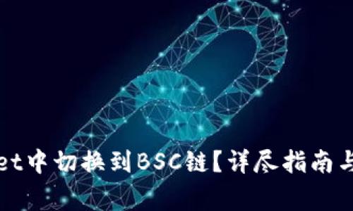 如何在tpWallet中切换到BSC链？详尽指南与常见问题解答